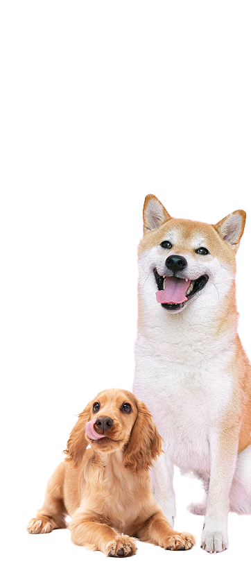Powered by Wag!