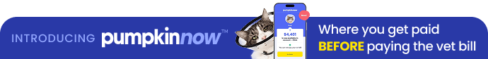 INTRODUCING pumpkinnow - where you get paid BEFORE paying the vet bill