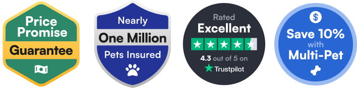 Price Promise Guarantee. Nearly one million pets insured. Rated excellent on Trustpilot.